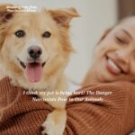 Breaking Free from Narcissistic Abuse